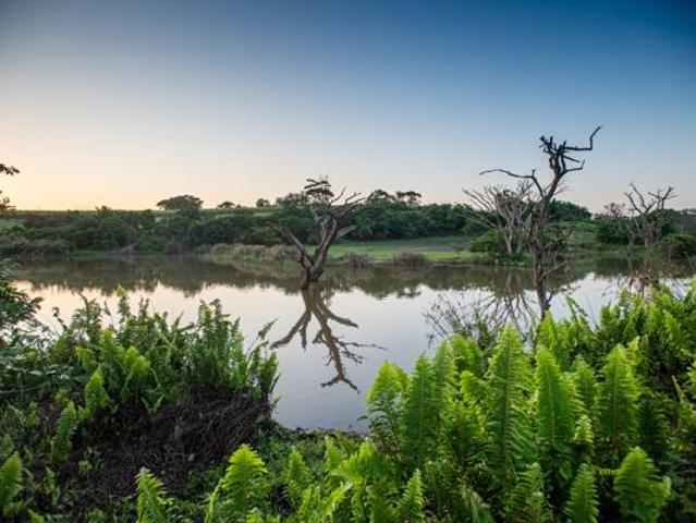 2 ha Land available in Ballito Central