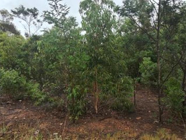 2 ha Land available in Greenbushes