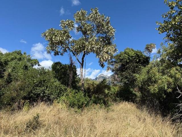 2 ha Land available in Kampersrus AH