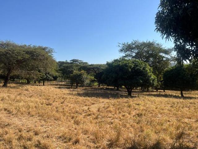 2 ha Land available in Tzaneen