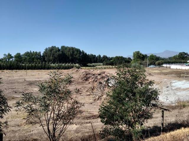 2 ha Land available in Wellington North