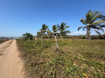 2 HECTÁREAS AL PIE DE PLAYA EN JOLUTA, GUERRERO