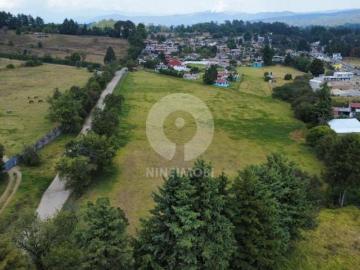 2 hectáreas de Terreno plano en La Cuadrilla, Valle de Bravo