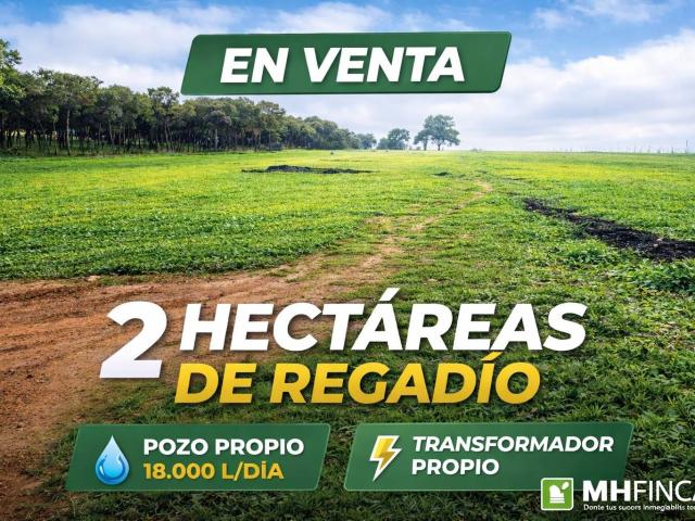 2 HECTÁREAS DE REGADÍO CON POZO PROPIO Y TRANSFORMADOR | INVERSIÓN AGRÍCOLA PREMIUM MAIRENA DEL ALCOR