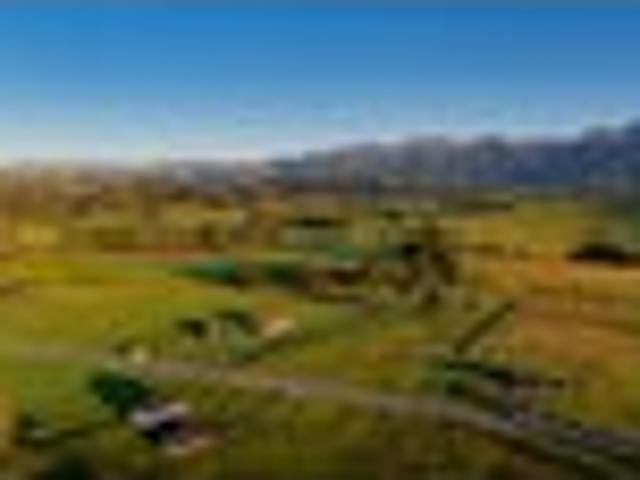 2 hectares of Yes Please!