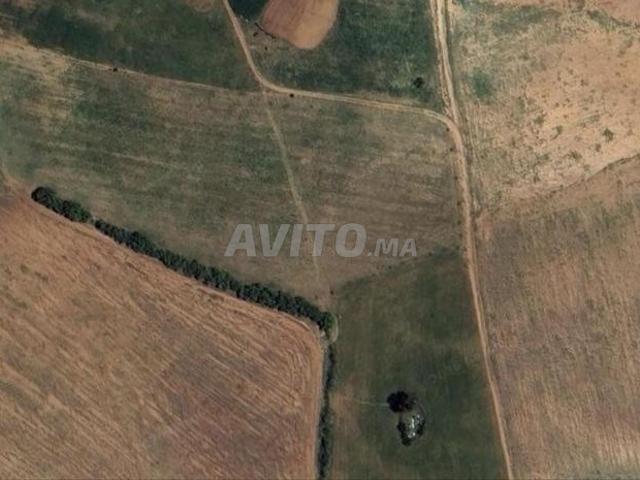 2 hectares à Ain Ribaa