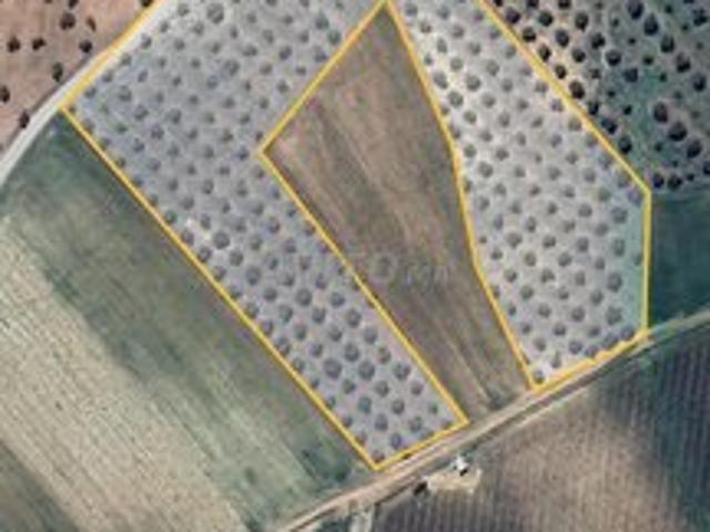 2 hectares et demi titre conservé à vendre