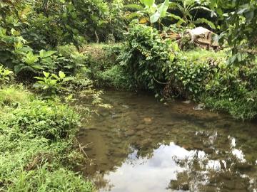 2 hectares en San Félix, Chiriqui