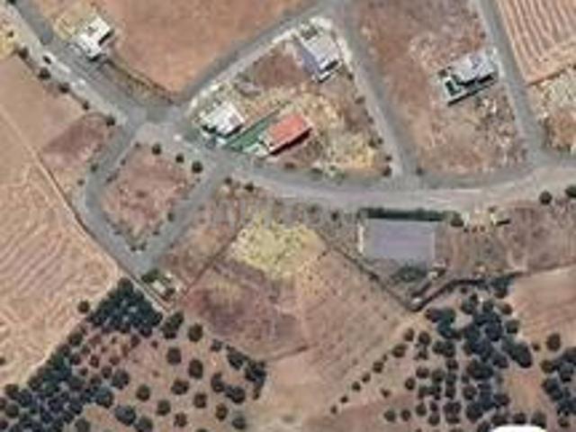 2 hectares sur route plantée, idéale pour tout projet