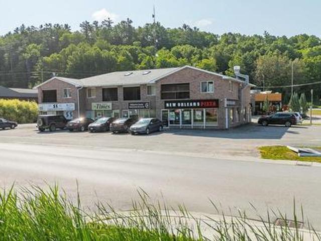 2 Iga Road, Minden Hills Lutterworth, ON, K0M 2K0 commercial for sale | Listing ID X13577 | Royal LePage