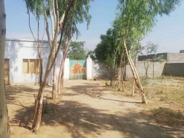 2 kwnal plot 1 kanal constructed 1 not Malakand ID 16117