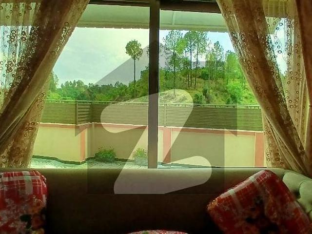 2 Kanal One Brand New House And One Old House Total Area 2 Kanal