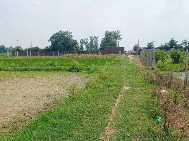 2 kanal farm house land hot loction best farm house best approuch lahore bedian road id 81811
