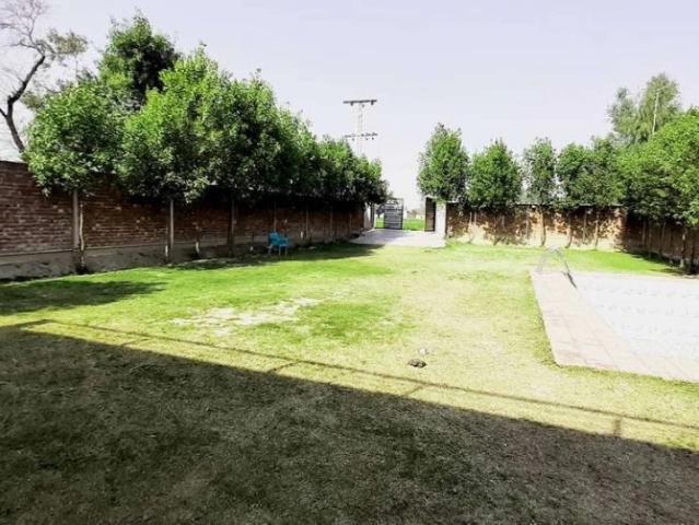 2 Kanal Farm House Sale Bedian Road 16 Km from Nawaz shareef Interchan Lahore Bedian Road ID 54389