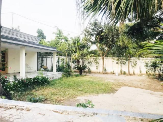 2 Kanal House for Rent In University Town, Peshawar University Town ID 70986