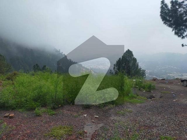 2 Kanal Plot For Sale At Khatwal Thandiani Abbottabad