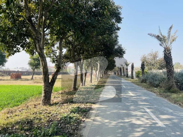 2 Kanal Residential Farmhouse Plot For In Lush Green Gated Compound Near To DHA 7& 9