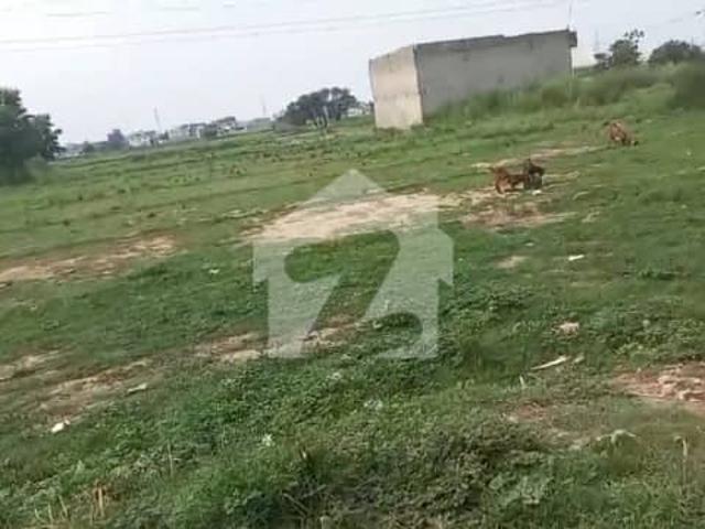 2 Kanal Residential Plot For Sale On Main Jani Chak Road, Dinga Agricultural Land Now Converting To Residential