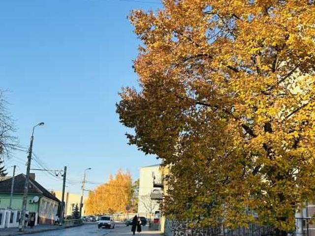 2 комнатная квартира, 51.00 кв.м