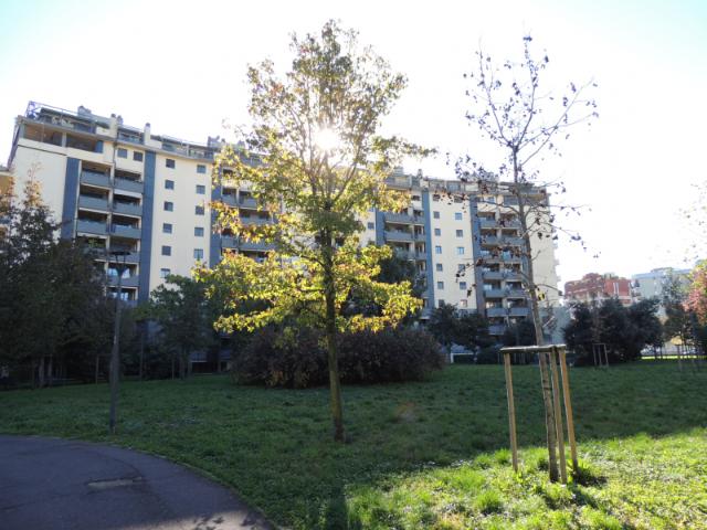2 locali con terrazzo in stabile signorile