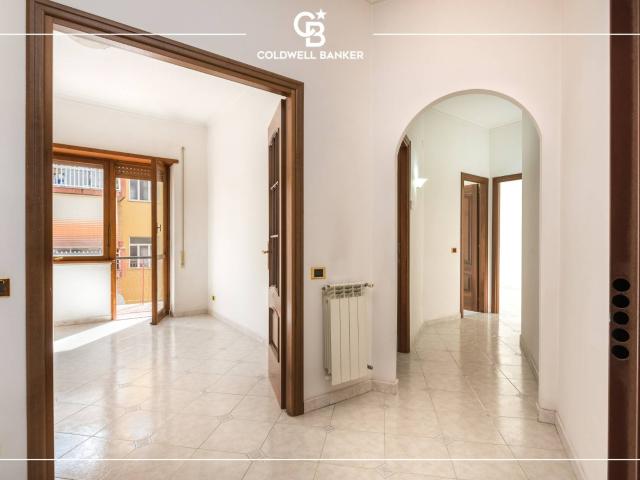 2 locali in affitto a Ciampino, Kennedy