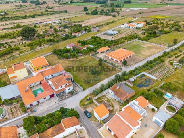2 Lotes de Terreno na Carregueira, 1285 m2