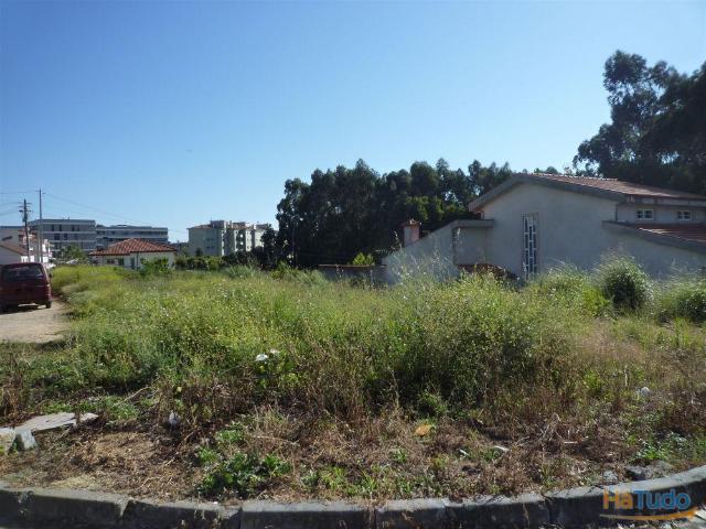 2 Lotes de terrenos para venda em Canelas | 26063031074
