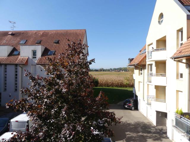 2 pièces · 49.19 m²