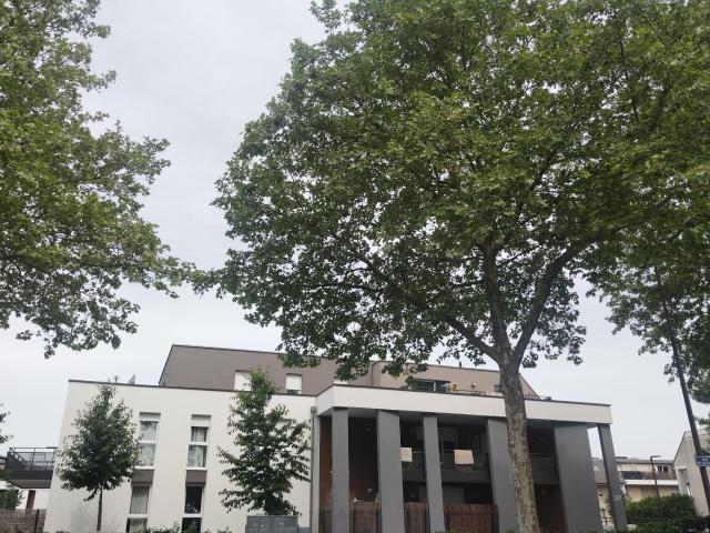 2 pièces · 50.67 m²