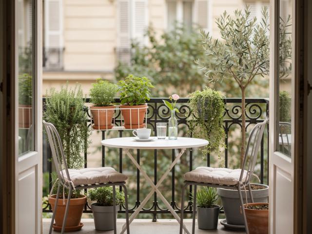2 PIÈCES PARKING LOGGIA RESIDENCE STANDING