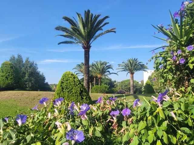 2 Pièces rez de jardin quartier familial du Val Fleuri