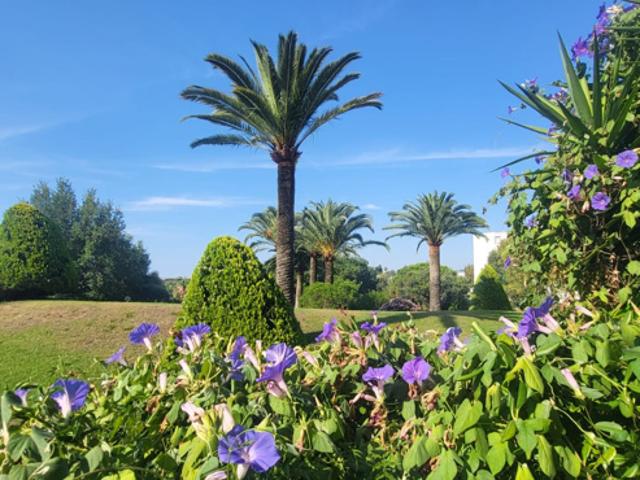 2 Pièces rez de jardin quartier familial du Val Fleuri