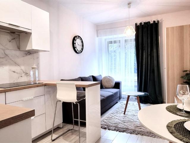 2 pok. Mieszkanie po remoncie przy parku Śląskim ul. Studzienna, Katowice, Dąb