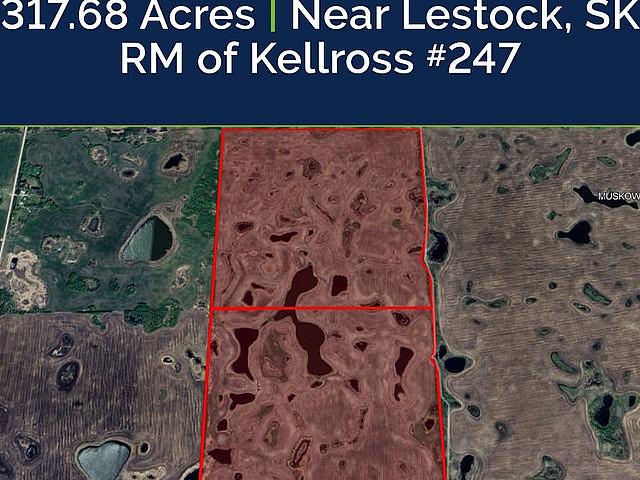 2 Quarters Of Grainland Near Lestock, Sk