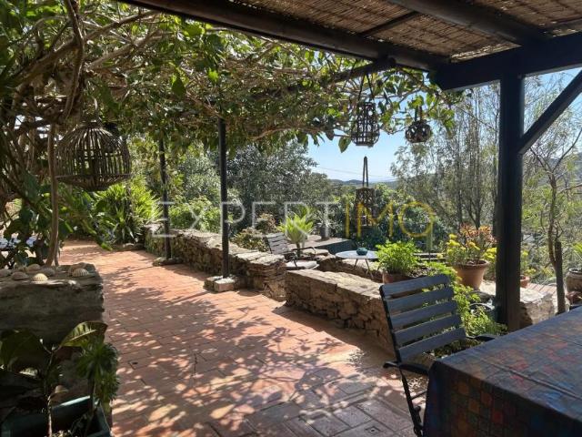 2 quarto, Tavira Faro 101501459