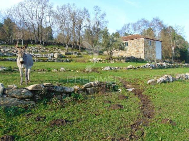 2 quarto, Vila Real Vila Real 102550876