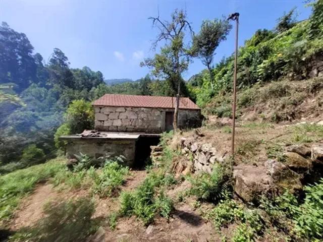 2 quarto, Viseu Cinfães 103540729