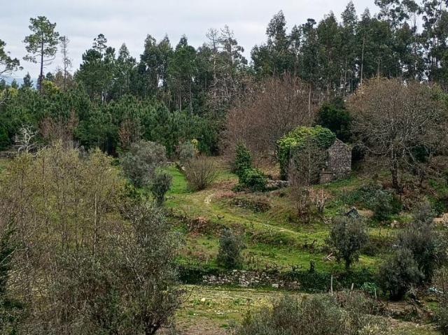 2 quarto, Viseu Mangualde 3530 101986226