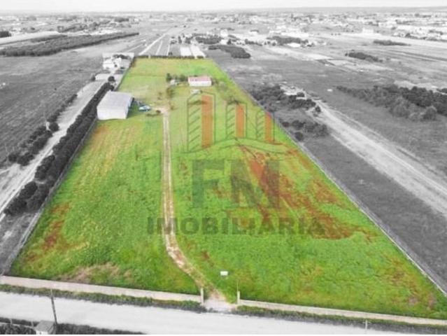 2 quarto, Almeirim Almeirim 94929410