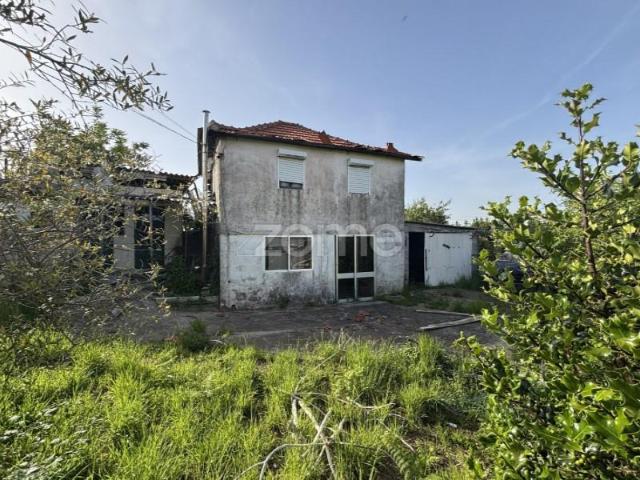 2 quarto, Amarante Amarante 102558448