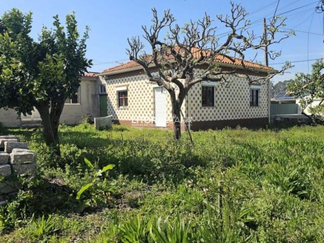 2 quarto, Aveiro Aveiro 3800 LS100410781