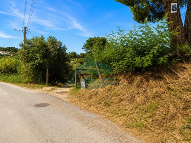 2 quarto, Azambuja Azambuja 103965408