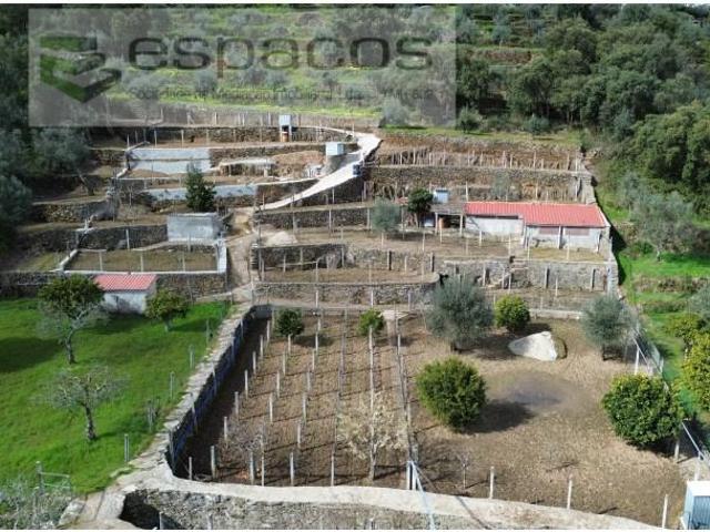2 quarto, Castelo Branco Castelo Branco 100361068
