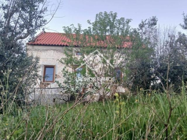 2 quarto, Castelo Branco Proença 6150 LS101015668