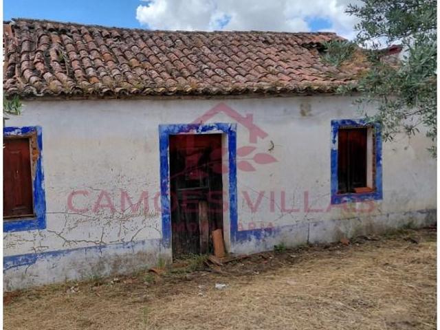 2 quarto, Chamusca Chamusca 102859040