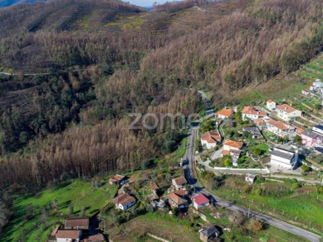 2 quarto, Cinfães Cinfães 101742207