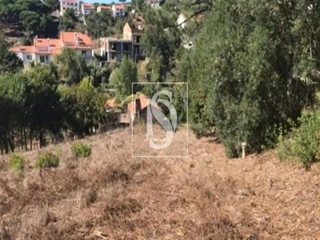 2 quarto, Coimbra Figueira da Foz 103556052