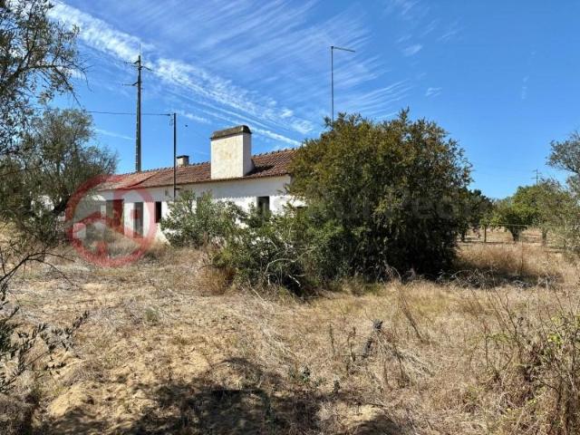 2 quarto, Coruche Coruche 97120126