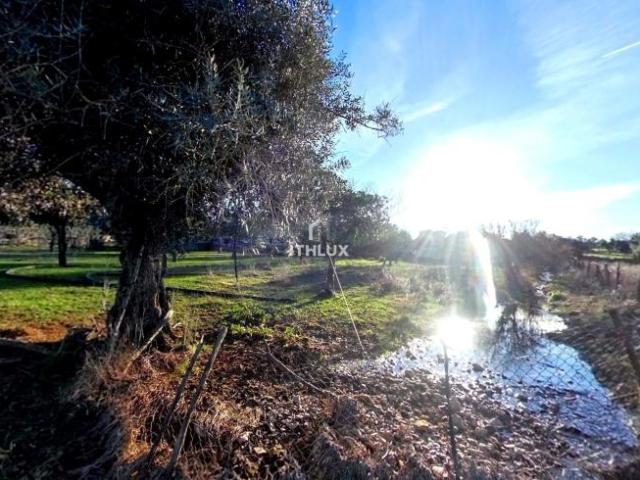 2 quarto, Elvas Portalegre LS95597649