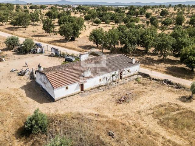 2 quarto, Estremoz Évora 104941443